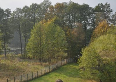 Luksusowe domki na Mazurach nad jeziorem Janowskim